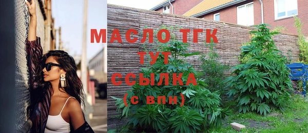 меф Вяземский