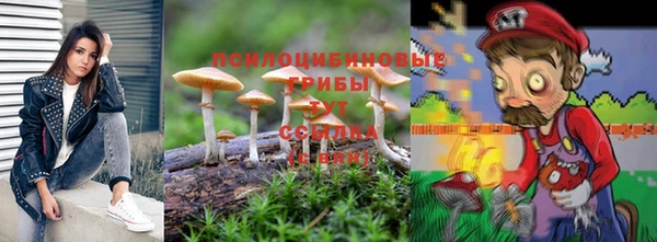 эйфоретик Елабуга