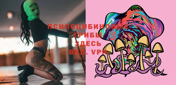 меф Вяземский